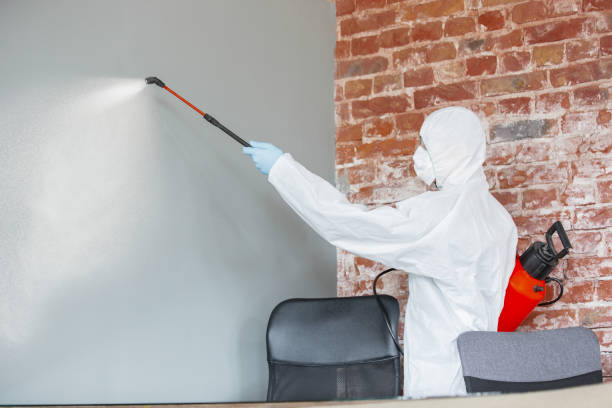 Asbestos and Lead Testing During Mold Inspection in Delta, OH