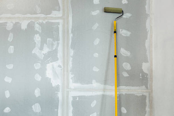Best Real Estate Mold Inspection  in Delta, OH