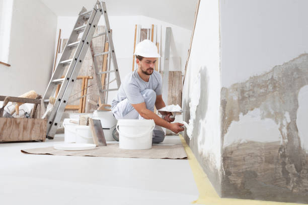 Best HVAC Mold Inspection and Cleaning  in Delta, OH