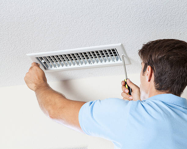 Best Crawl Space Mold Remediation  in Delta, OH