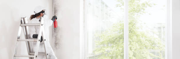 Best Mold-Related Health Consultation  in Delta, OH